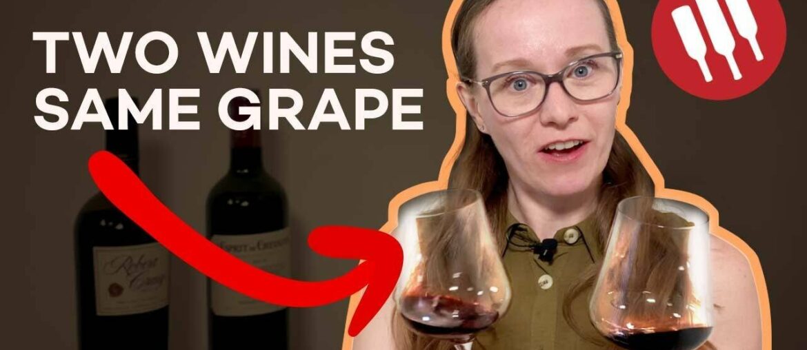 Cabernet Sauvignon (Everything You Need To Know) | Grapes 101