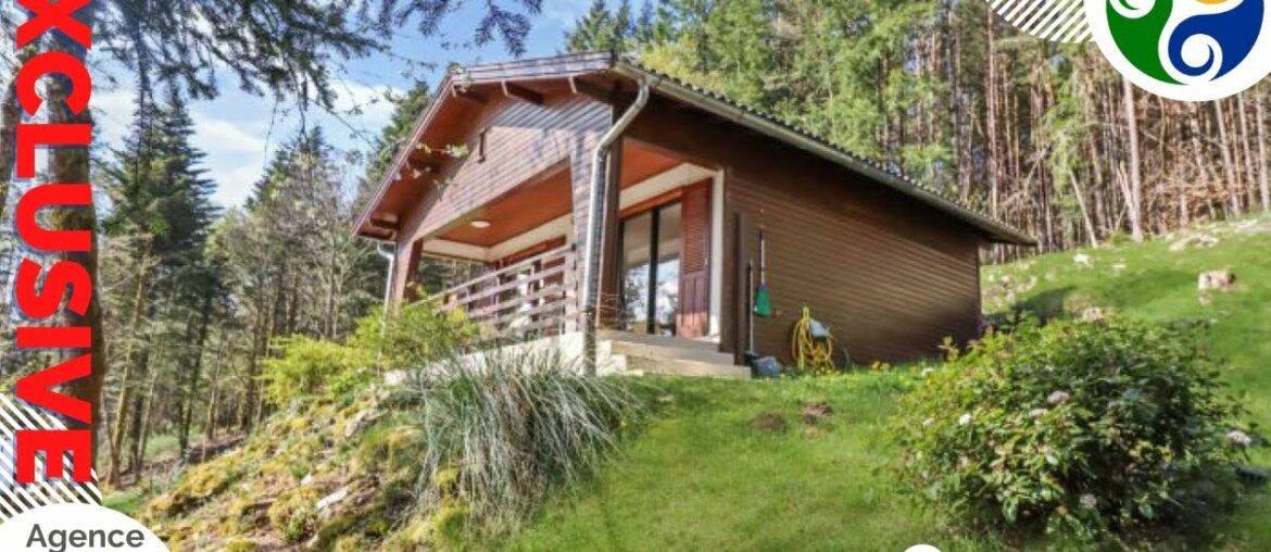 FRENCH HOMES FOR SALE – Stunning woodland chalet with lake views FRENCH HOMES FOR SALE - Stunning woodland chalet with lake views