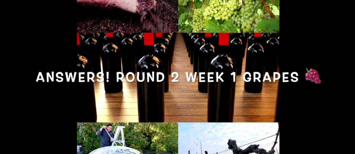 Learn Wine Grapes Answers Learn Wine Grapes Answers