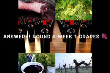 Learn Wine Grapes Answers