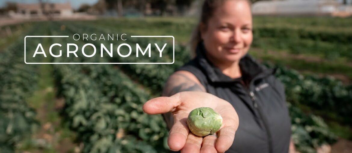 Desert Farmland Growing Organic Fruits and Vegetables | PARAGRAPHIC Desert Farmland Growing Organic Fruits and Vegetables | PARAGRAPHIC