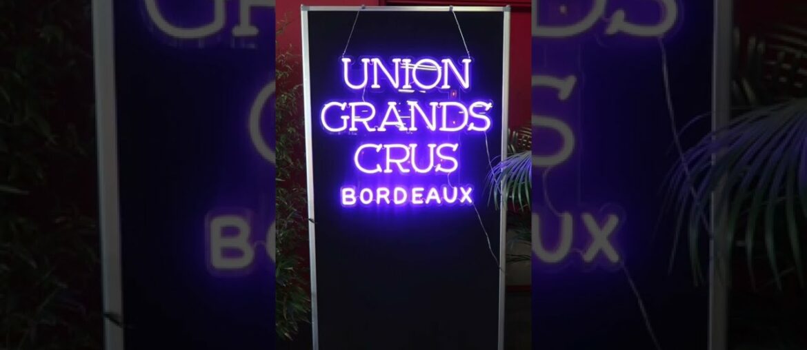 My favorite Bordeaux RED WINES from 2021 vintage #shorts My favorite Bordeaux RED WINES from 2021 vintage #shorts