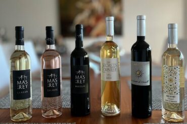 Domaine du Mas de Rey Provence Value Wine Tasting and Review