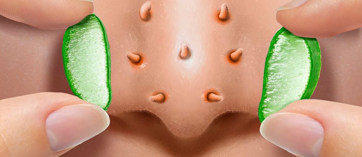 Unexpected Beauty Recipes You Wish You Knew Before Unexpected Beauty Recipes You Wish You Knew Before