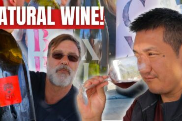Searching for the BEST NATURAL WINE & Food in Catalunya