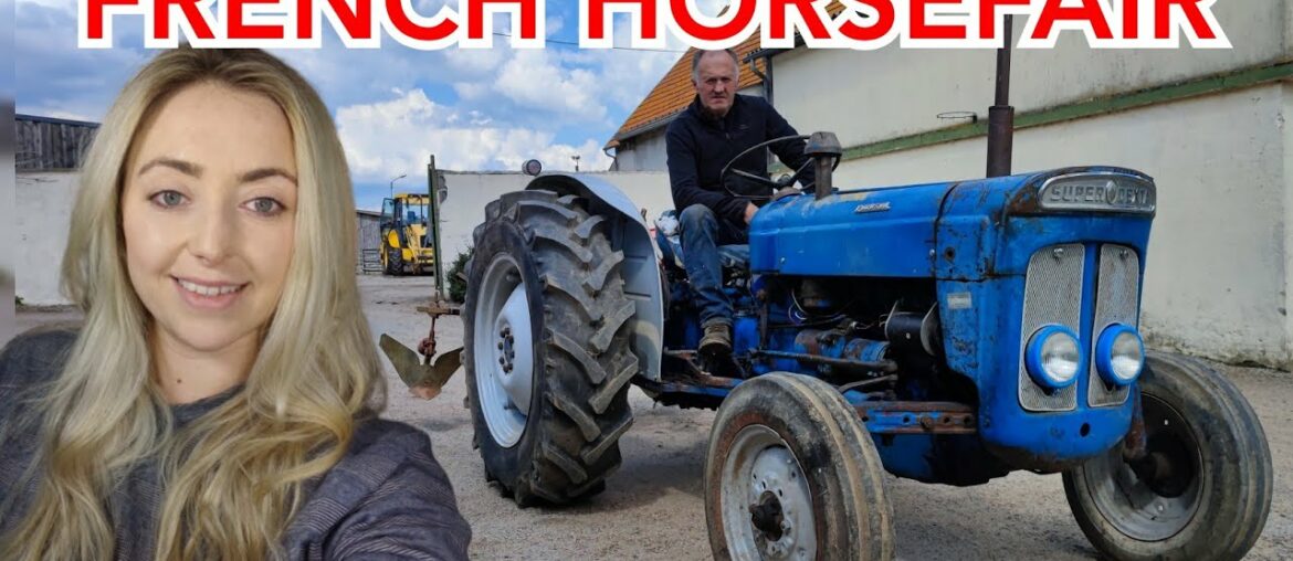 SUPER DEXTA – NEW PROJECT + french horsefair SUPER DEXTA - NEW PROJECT + french horsefair