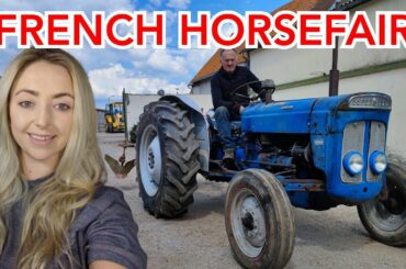 SUPER DEXTA - NEW PROJECT + french horsefair