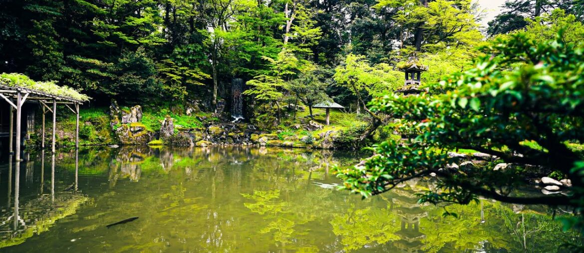 going in tiny camping car to Japanese amazing artistic patisserie.