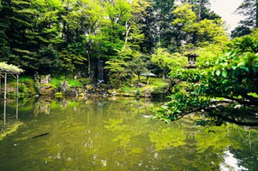 going in tiny camping car to Japanese amazing artistic patisserie.