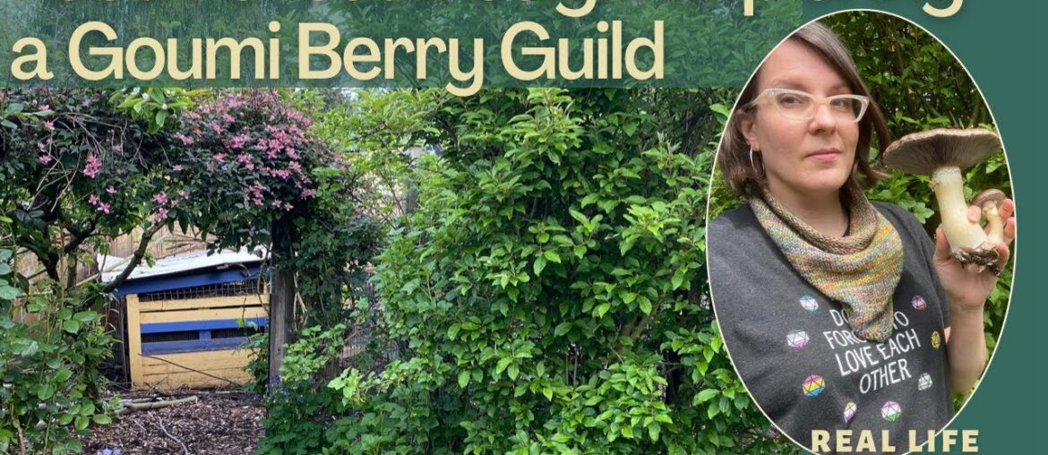 Expanding Guilds: Companion Planting Around a Nitrogen Fixing Shrub in My Food Forest Expanding Guilds: Companion Planting Around a Nitrogen Fixing Shrub in My Food Forest