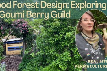 Expanding Guilds: Companion Planting Around a Nitrogen Fixing Shrub in My Food Forest