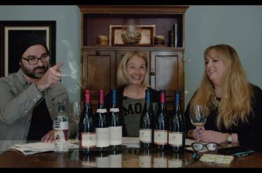 French Wine Tasting | Chassagne-Montrachet #Shorts #wine #winetasting