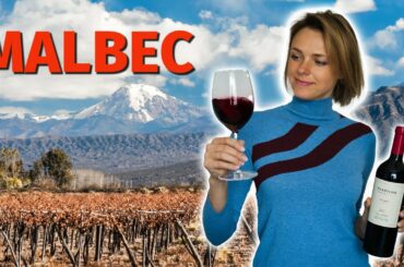 Wine Grapes 101: MALBEC