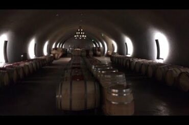 Brand Napa Valley 2016 Brio Premium US Wine Review