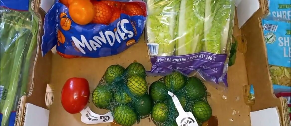 DUMPSTER DIVING AT ALDI! FREE MEAT, PRODUCE AND MORE! NO FREE LUNCH? I THINK NOT! DUMPSTER DIVING AT ALDI! FREE MEAT, PRODUCE AND MORE! NO FREE LUNCH? I THINK NOT!