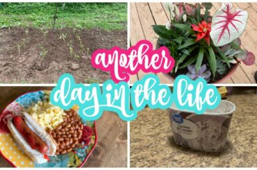 ANXIETY CHAT || DAY IN THE LIFE || SOURDOUGH CINNAMON RAISIN FRENCH TOAST CASSEROLE