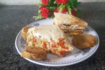 Chicken sandwich || French Toast Recipe || Bread Recipe by Pakistani delicious recipe and vlog