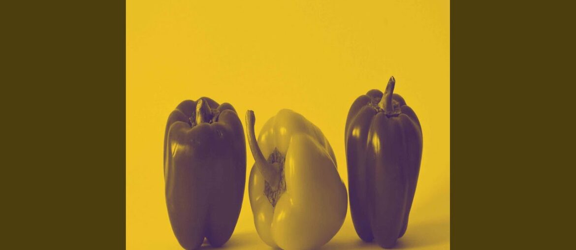 Cultivated French Restaurants