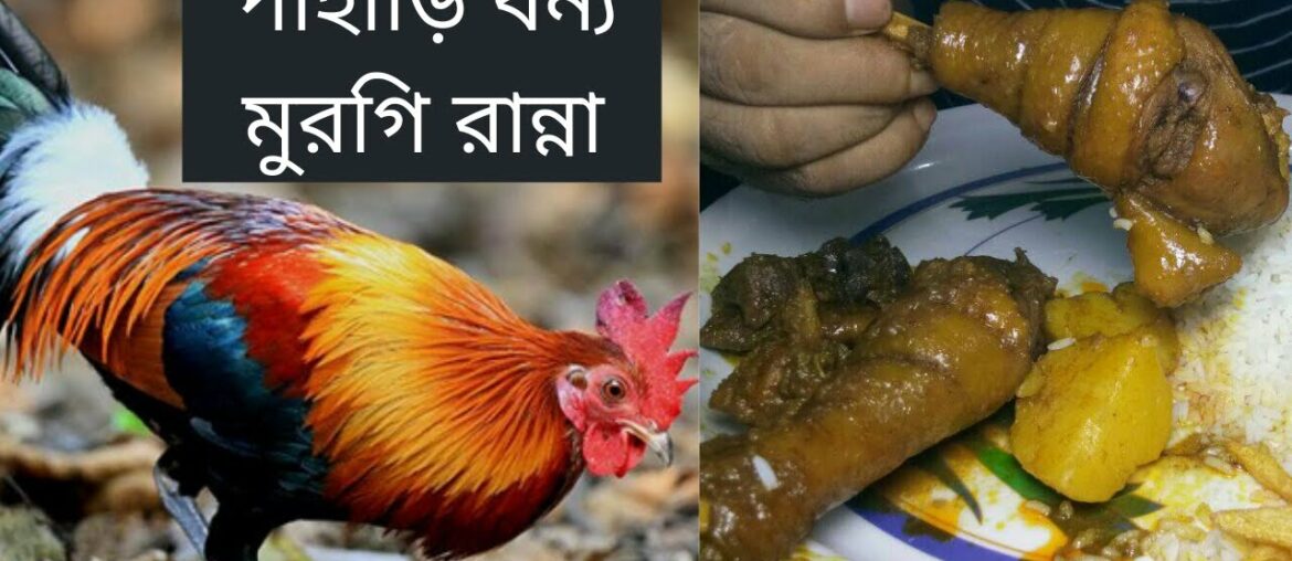 Spicy Chicken Recipe | Country Chicken | french fries | bangla coking recipe