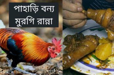 Spicy Chicken Recipe | Country Chicken | french fries | bangla coking recipe