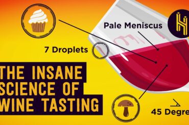 How Sommeliers Can Taste Which Year Wine is From