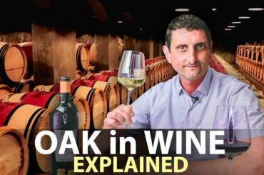 Oak in Wine: What you Need to Know