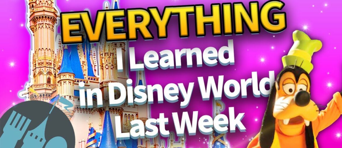 EVERYTHING I Learned in Disney World Last Week