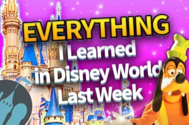 EVERYTHING I Learned in Disney World Last Week