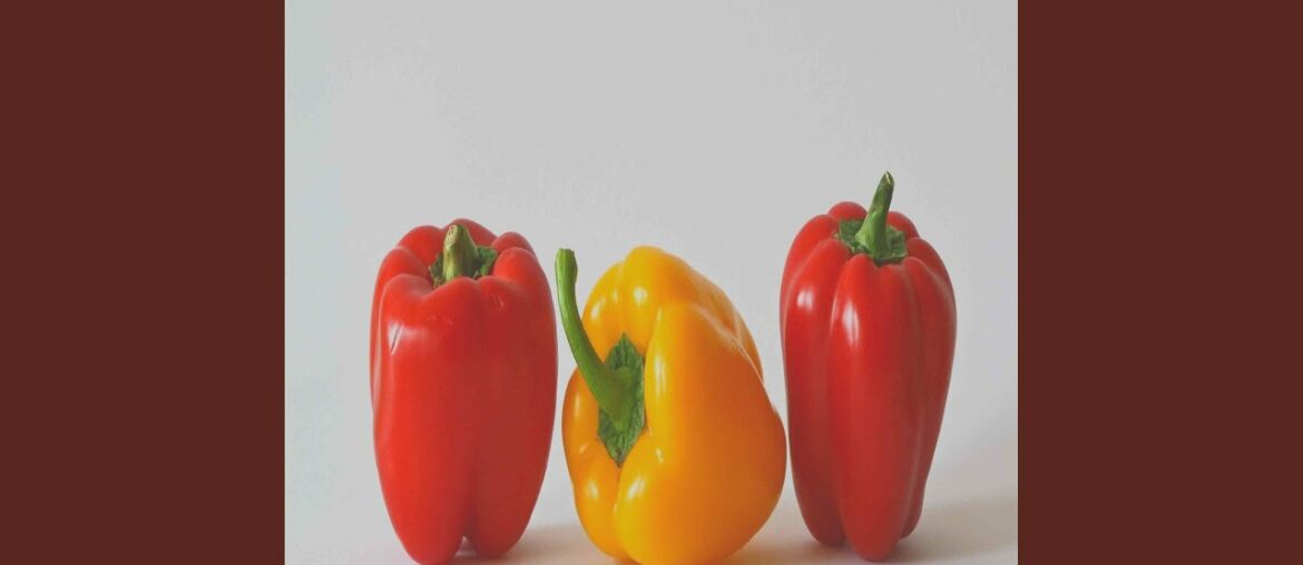 Energetic Ambiance for French Restaurants