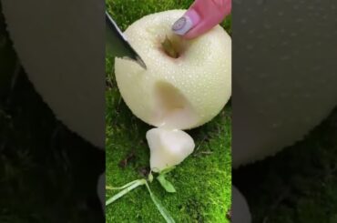 Tropical Fruit Farm Harvest online -Cure and Amazing Agric Tech  #Fruits, Tik Tok.Number 2  #Shorts