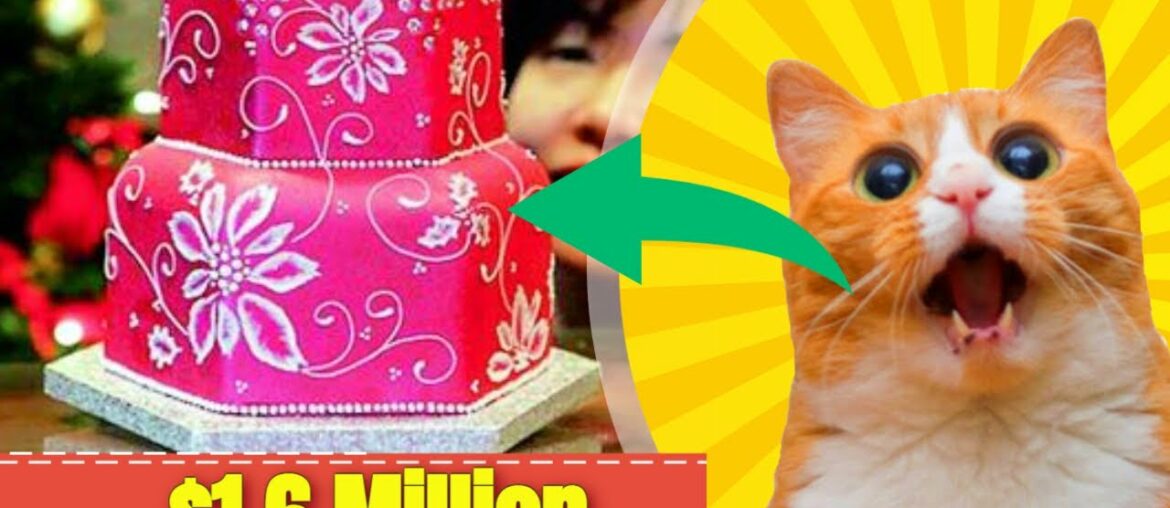 Expensive Food in the World – Top 10 Most Expensive Foods Expensive Food in the World - Top 10 Most Expensive Foods