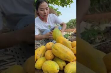 Tropical Fruit Farm Harvest online -Cure and Amazing Agric Tech  #Fruits, Tik Tok. #Shorts