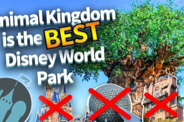 Animal Kingdom is the BEST Disney World Park
