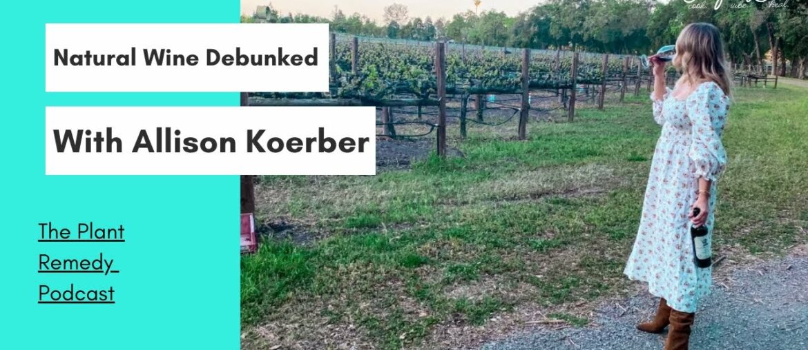 S3 Ep. 70: Natural Wine Debunked With Bai’s Wine Guru, Allison Koerber