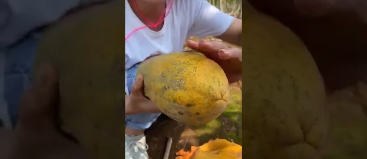 Tropicals Fruit Farm Harvest produce 8-Amazing Agriculture Technology #Fruits, Tik Tok. #Shorts