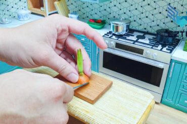 Step by Step Miniature Pan fried Australian Beef with European Beef Stew Sauce Recipe / Mini Food