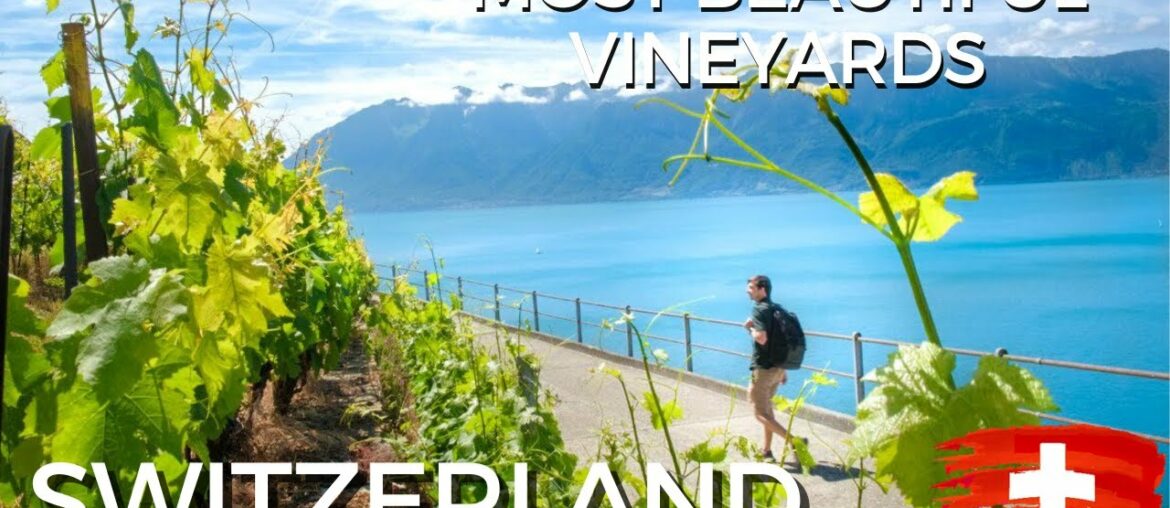 The World's Most Beautiful Wine Region: Montreux Switzerland The World's Most Beautiful Wine Region: Montreux Switzerland