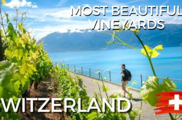 The World's Most Beautiful Wine Region: Montreux Switzerland