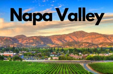 Napa Valley Wine Country | Yountville, California
