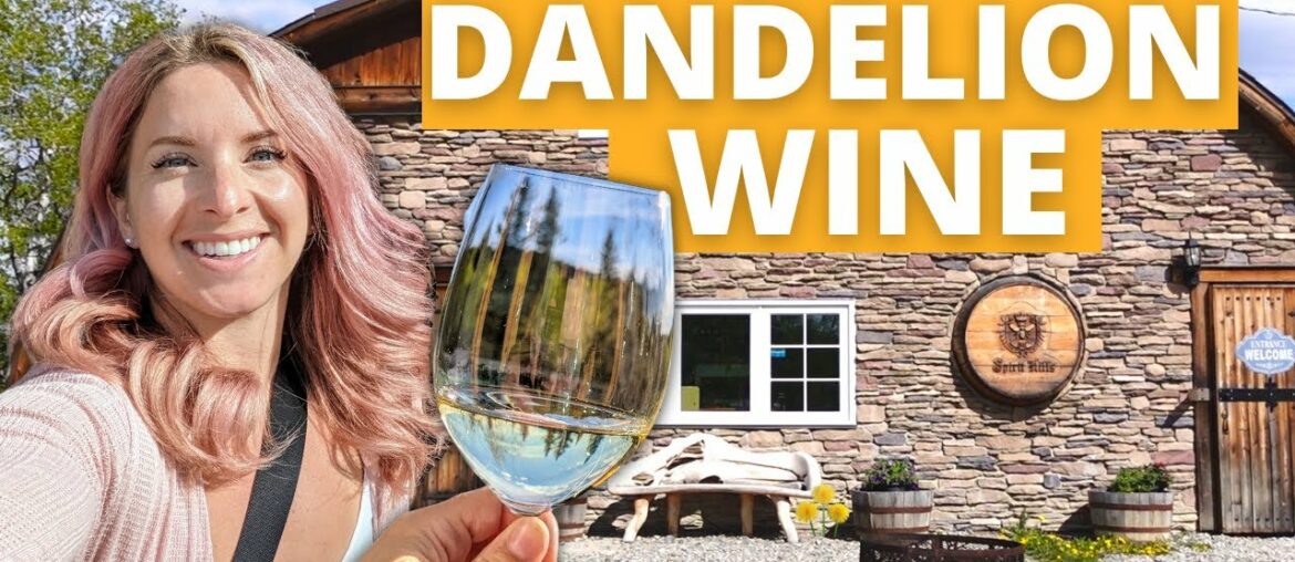 Alberta, Canada Road Trip: Wine Spa & Dandelion Wine (a hidden gems Alberta Canada tour) Alberta, Canada Road Trip: Wine Spa & Dandelion Wine (a hidden gems Alberta Canada tour)