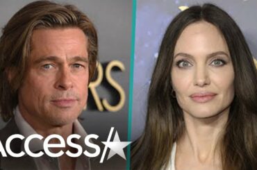 Brad Pitt Claims Angelina Jolie 'Sought To Inflict Harm' w/ Vineyard Sale