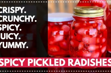 TOO EASY TO BE THIS GOOD! SPICY PICKLED RADISHES are the NEW PARTY POPPER