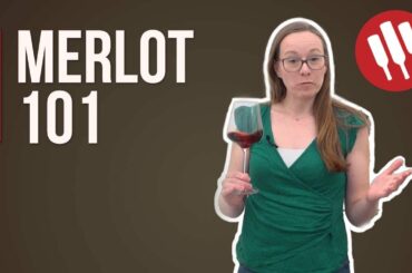 Merlot (Everything you need to know) | Grapes 101