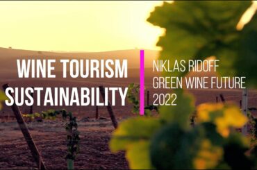 Green Wine Future Conference - Niklas Ridoff in Sustainable Wine Tourism