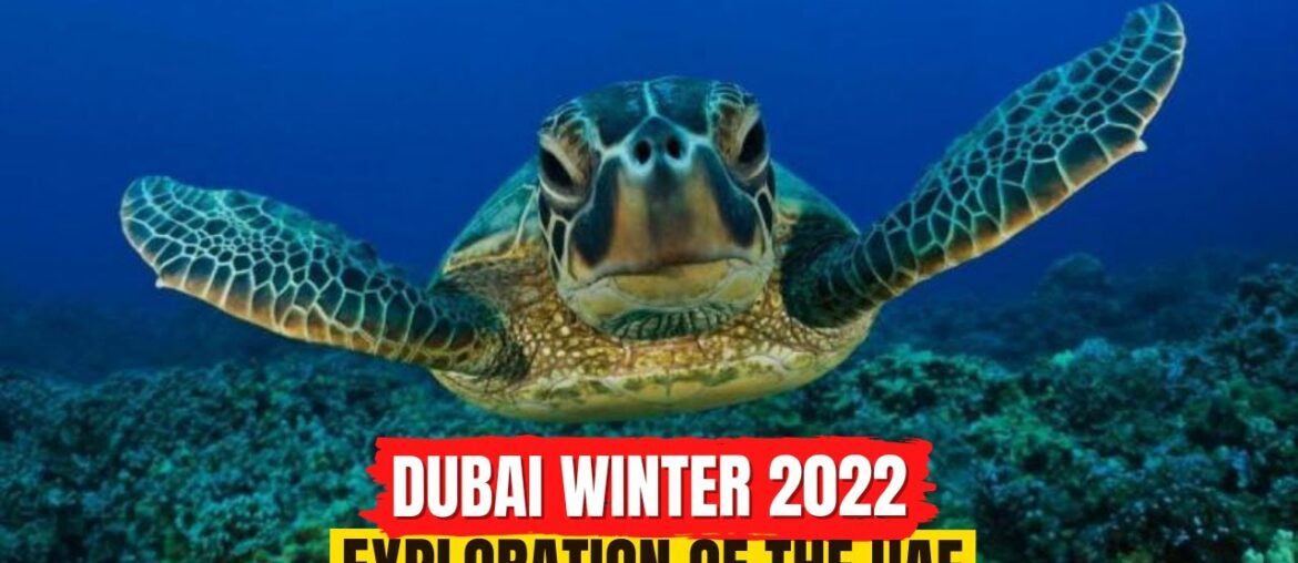 DUBAI WINTER 2022 EXPLORATION OF THE UAE