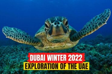 DUBAI WINTER 2022 EXPLORATION OF THE UAE