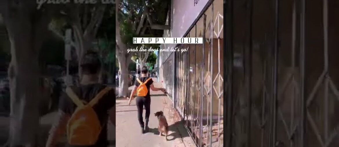 French Cafe Appetizers! Mozzarella Onion Rings, Lox Pizza w Herb Cream Cheese, Garlic Truffle Fries French Cafe Appetizers! Mozzarella Onion Rings, Lox Pizza w Herb Cream Cheese, Garlic Truffle Fries