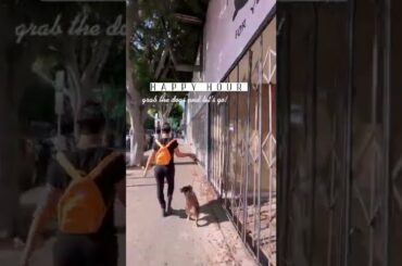 French Cafe Appetizers! Mozzarella Onion Rings, Lox Pizza w Herb Cream Cheese, Garlic Truffle Fries