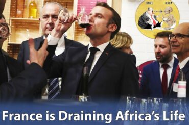 How France is on a Daily Basis Draining the Blood Out of Africa to Feed Itself - Rear View Africa