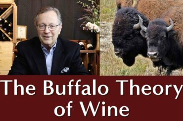 The Buffalo Theory of Wine